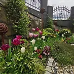 아파트 Krysztalowy Z Pieknym Ogrodem W Centrum Uzdrowiska 폴라니카-즈루이