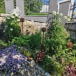 Krysztalowy Z Pieknym Ogrodem W Centrum Uzdrowiska