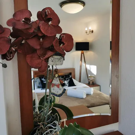 Appartamento Krysztalowy Z Pieknym Ogrodem W Centrum Uzdrowiska