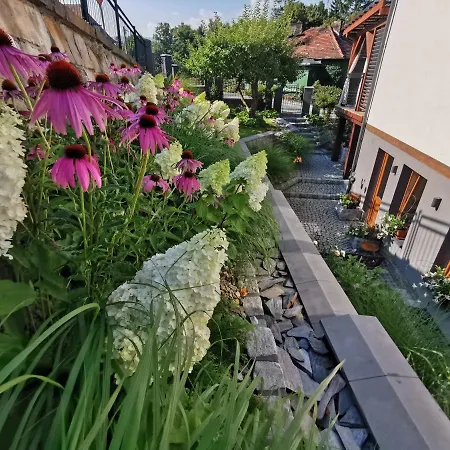 Krysztalowy Z Pieknym Ogrodem W Centrum Uzdrowiska * Polanica-Zdrój