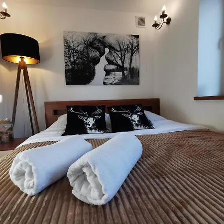 Krysztalowy Z Pieknym Ogrodem W Centrum Uzdrowiska *