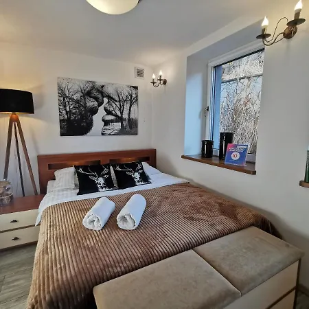 Krysztalowy Z Pieknym Ogrodem W Centrum Uzdrowiska