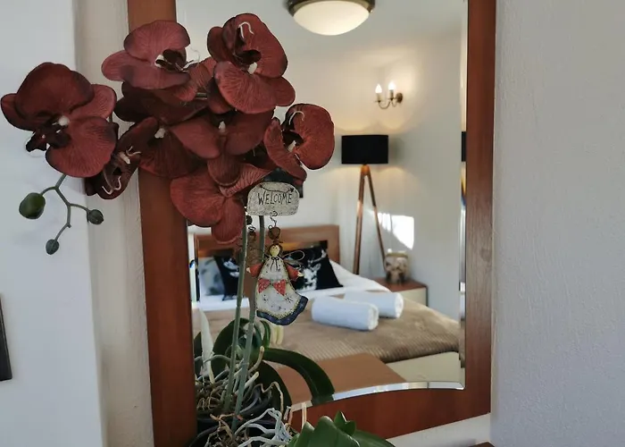 Apartamento Krysztalowy Z Pieknym Ogrodem W Centrum Uzdrowiska